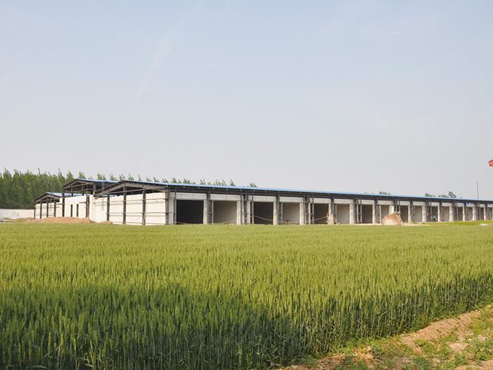 河南恒立佳泰項(xiàng)目